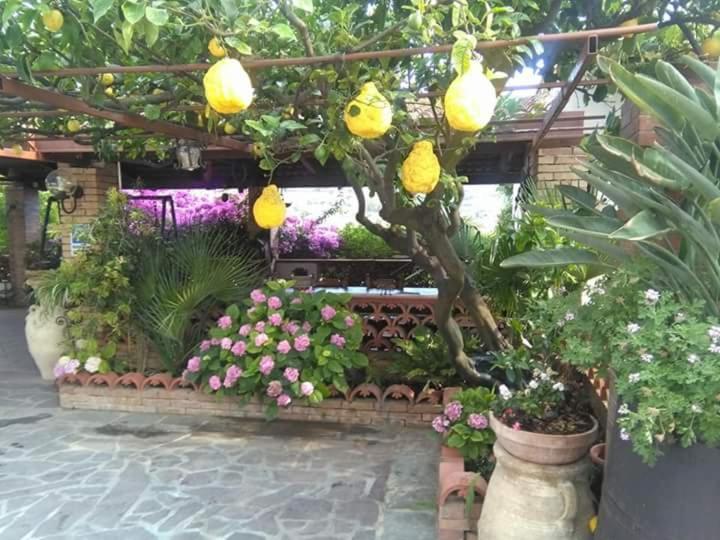 كاباتشو - بايستوم B&B La Porta Del Cilento المظهر الخارجي الصورة