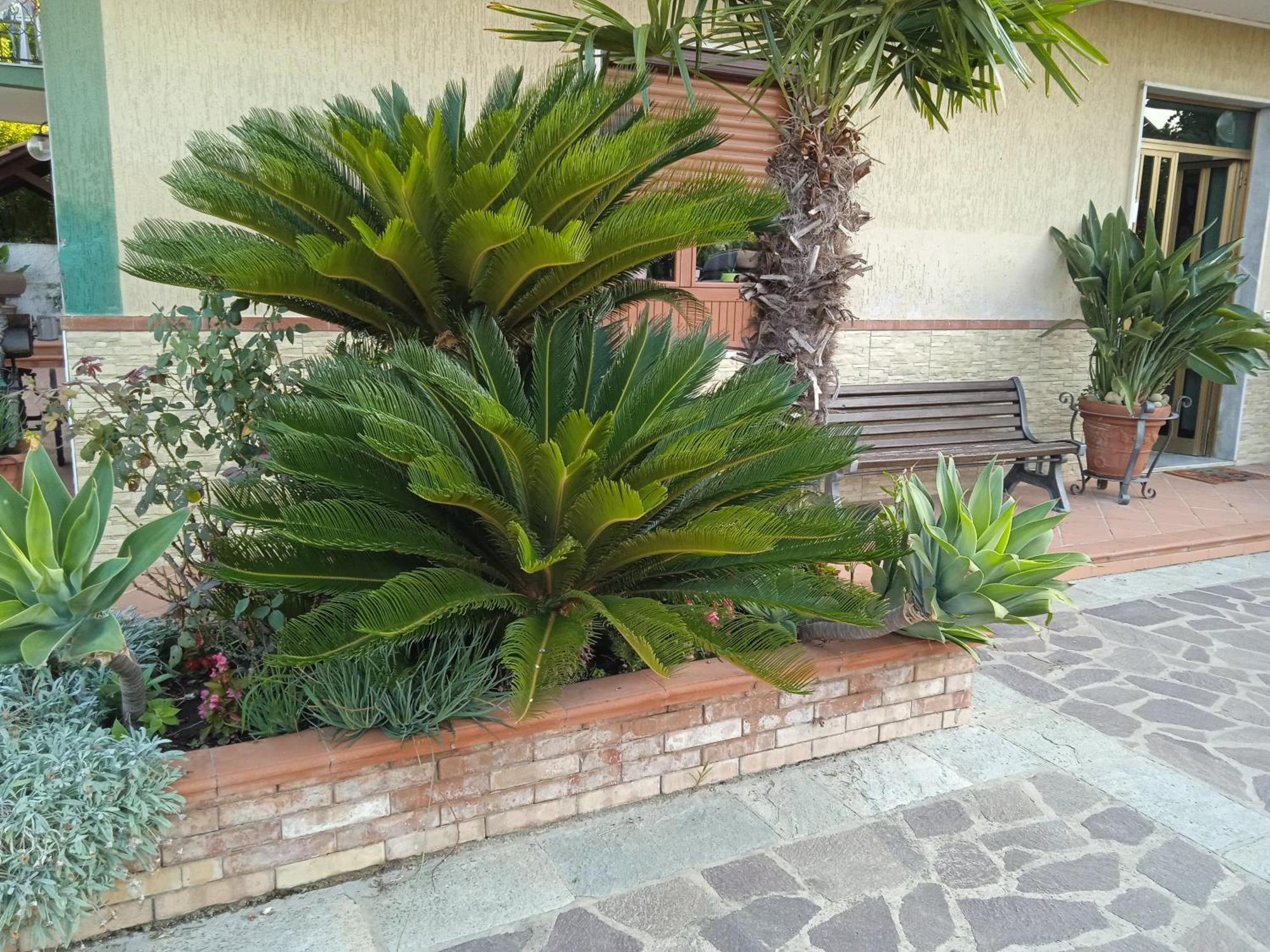 كاباتشو - بايستوم B&B La Porta Del Cilento المظهر الخارجي الصورة